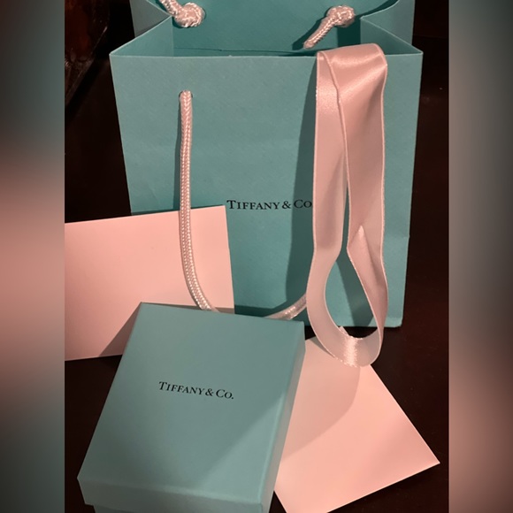 Tiffany & Co. Bag and Box - Picture 4 of 5
